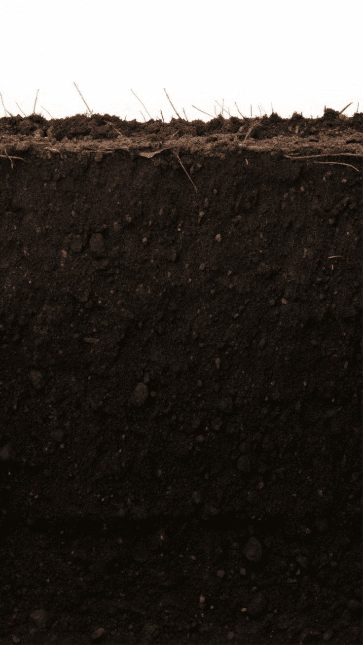 Soil