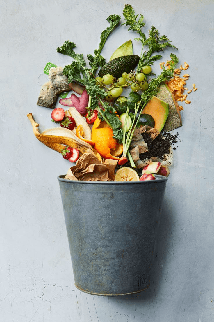 Fruit and Veg in a pot