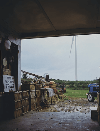 Food production impact