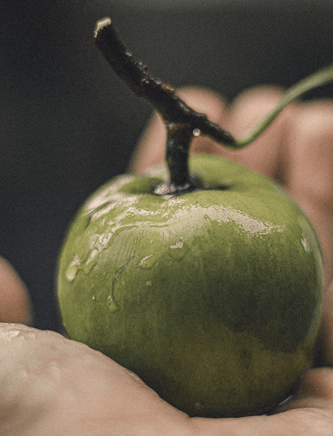 Fresh fruit in hand
