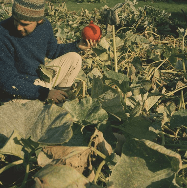 Farmer Image