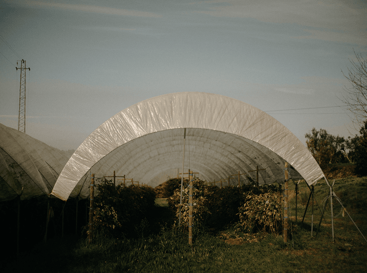 Greenhouse structures