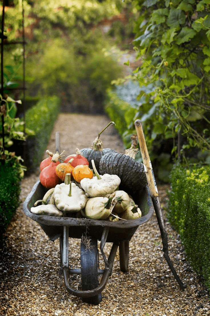 Seasonal harvest